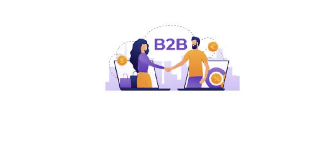 بوابات طلبات B2B الإلكترونية لشركات التصدير والتجارة الدولية في غازي عنتاب | ناول سوفت